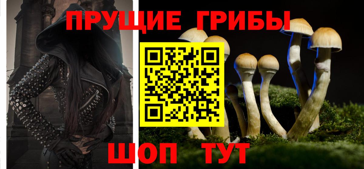 Псилоцибиновые грибы Psilocybe  Галлюциногенные грибы Magic Shrooms  Кумертау  где продают   Вход с VPN 